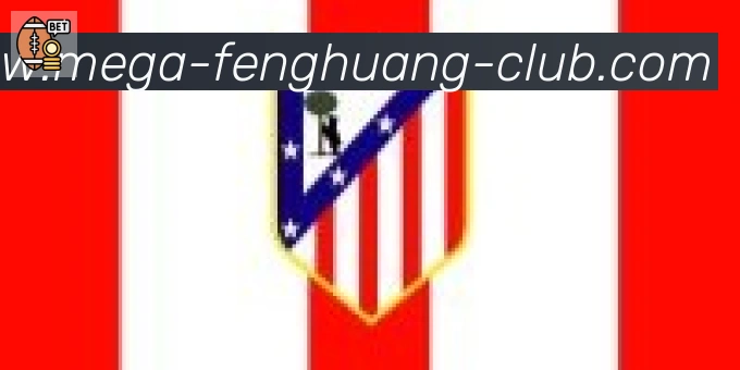 凤凰体育合作伙伴